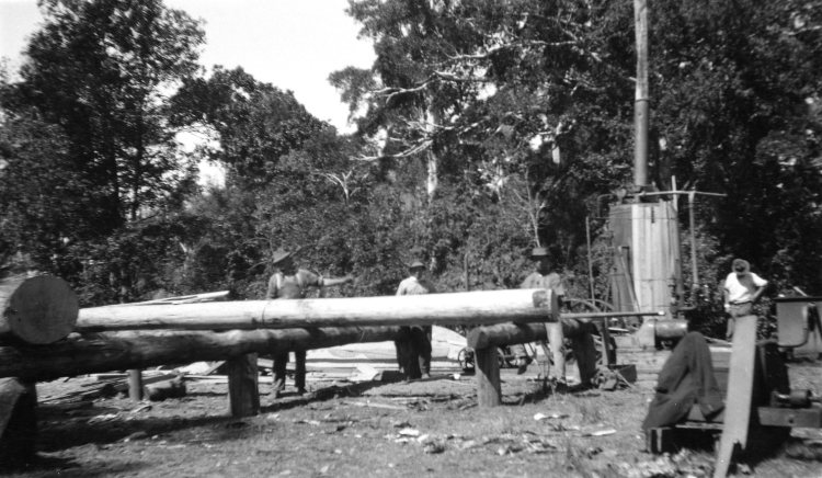 Saw mill at Amamoor - donated by Pat Towner
