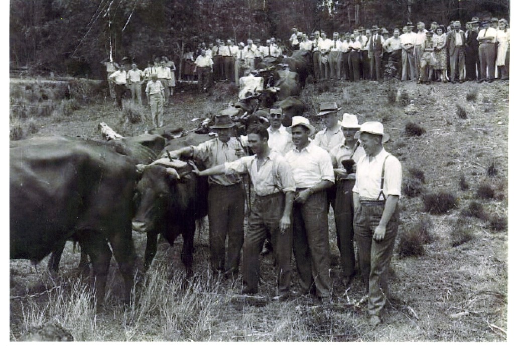 1945 cricket team visiting the Grainger farm - donated by Barry Grainger