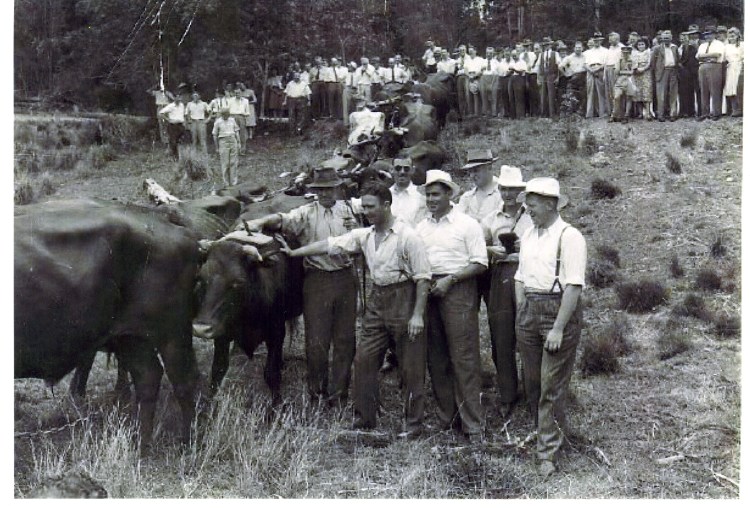 1945 cricket team visiting the Grainger farm - donated by Barry Grainger