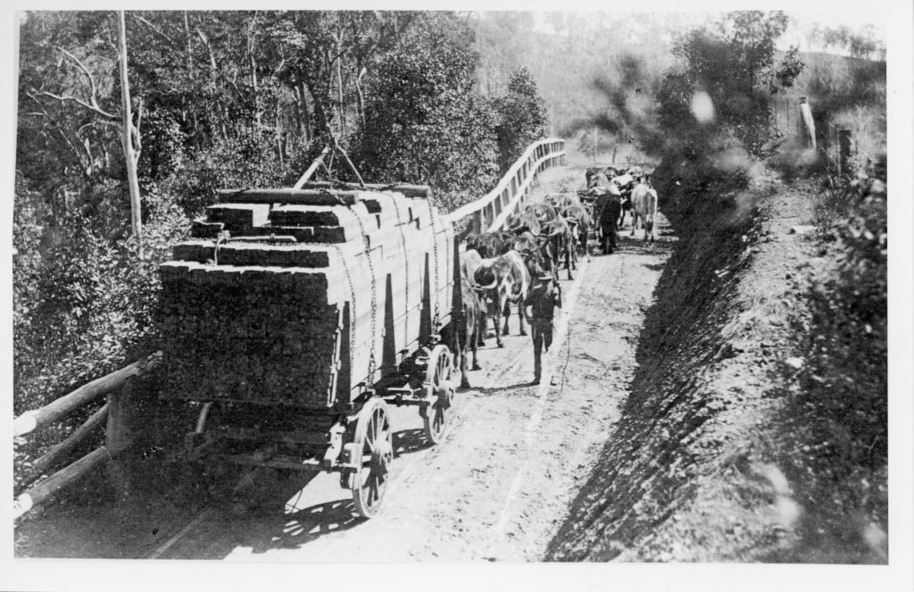 Bullock Team Kandanga - Gympie Regional Libraries