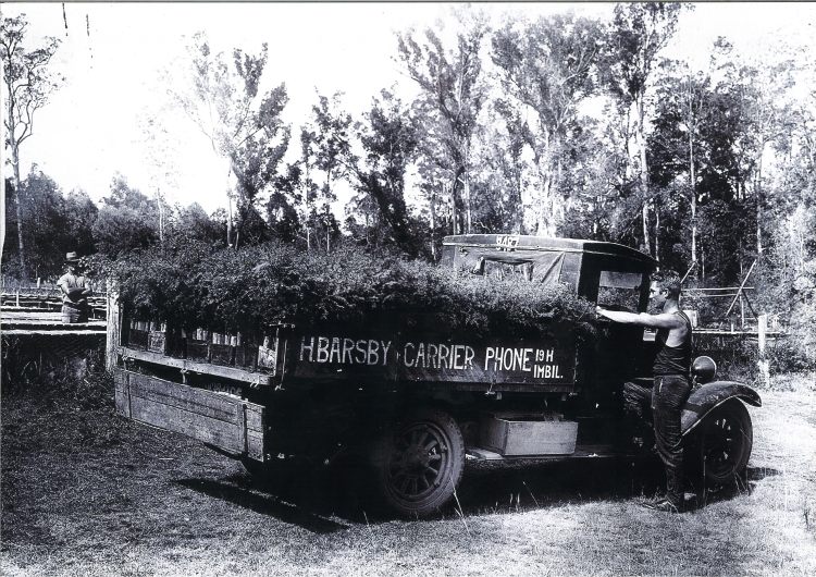 Barsby Truck - Forest seedling truck - Imbil - donated by Kaili Parker-Price