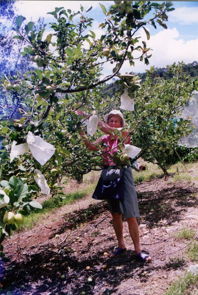Farm at Amamoor - donated by Cacilia Michalowitz