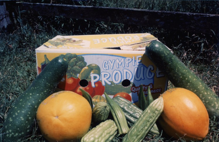 Gympie produce at farm at Amamoor - donated by Cacilia Michalowitz