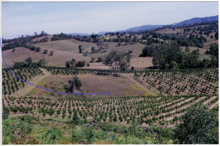 Farm at Amamoor - donated by Cacilia Michalowitz