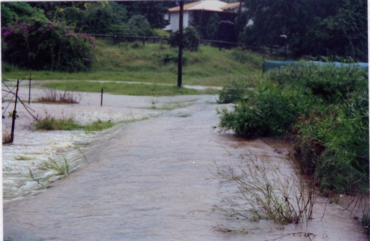 Flood at farm at Amamoor - donated by Cacilia Michalowitz