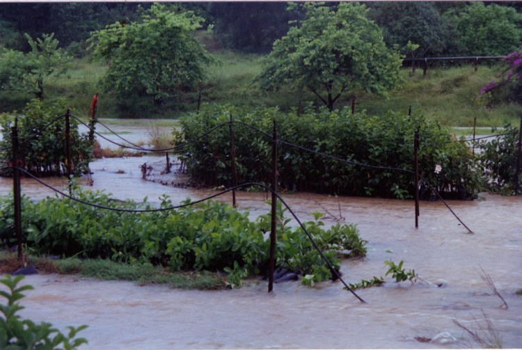 Flood at farm at Amamoor - donated by Cacilia Michalowitz