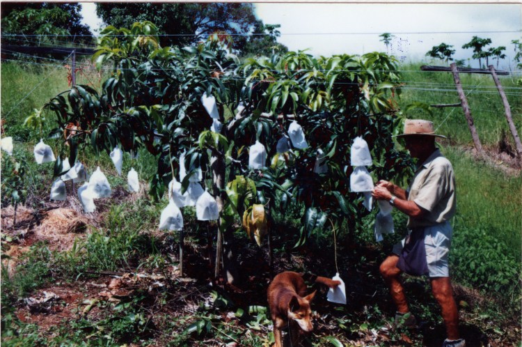Farm at Amamoor - donated by Cacilia Michalowitz