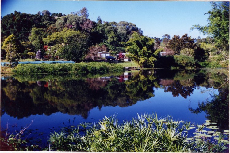 Farm at Amamoor - donated by Cacilia Michalowitz