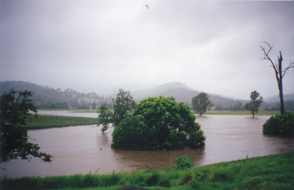 Flood - Imbil - donated by Kaili Parker-Price