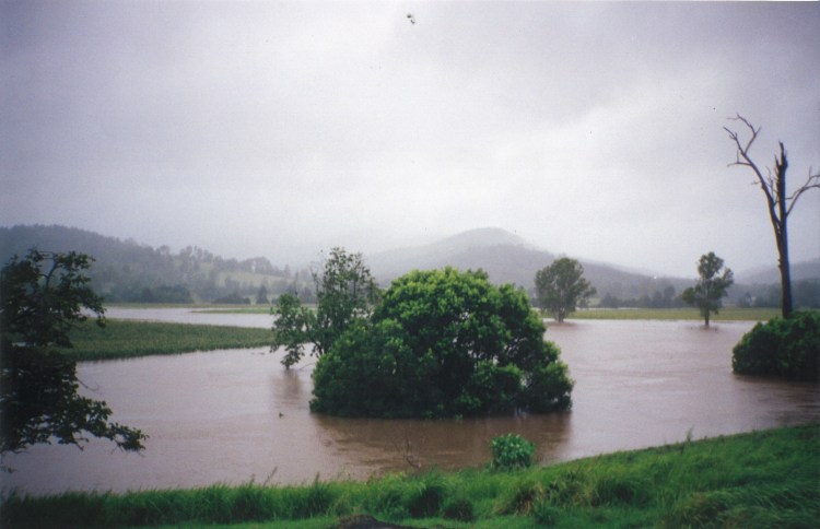 Flood - Imbil - donated by Kaili Parker-Price