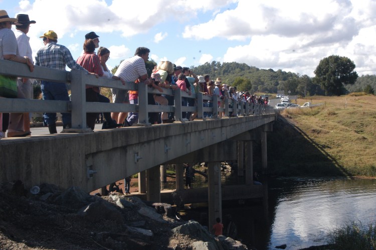Traveston Dam protest - May 2006 - Gympie Times collection