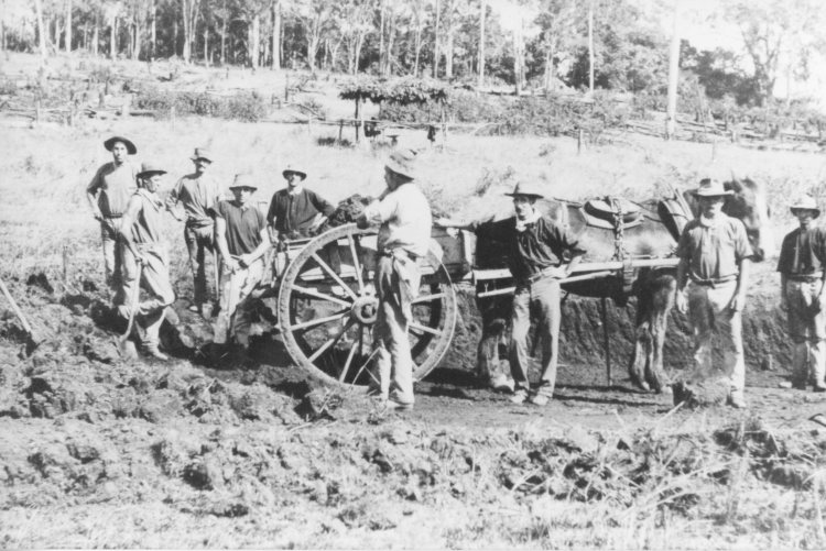 Workers on Mary Valley Railway line, Hutchins Road, Amamoor-Dagun circa 1913 - Gympie Regional Libraries